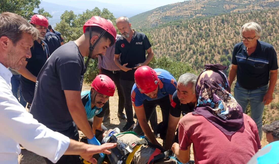 
Aydın’ın Kuyucak ilçesinde kekik toplamak için dağa çıkan 61 yaşındaki