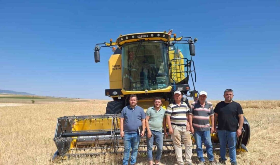 Hasat zamanı geliyor! Afyonkarahisar Tarım ve Orman İl Müdürlüğünden yapılan açıklamada, kent genelinde