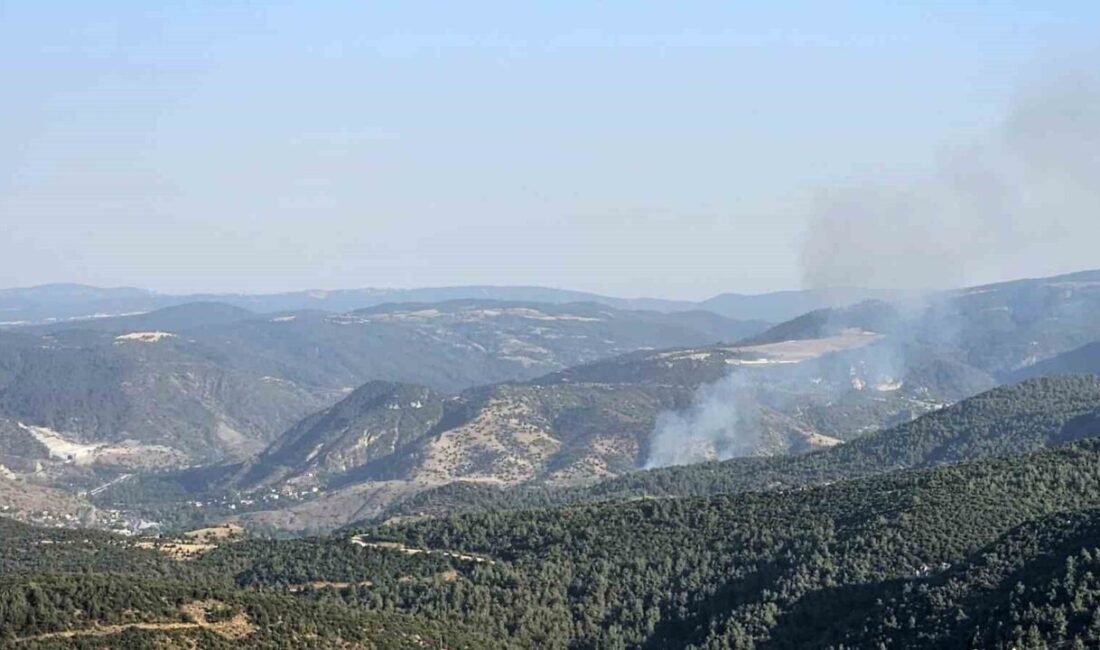 Bilecik merkeze bağlı Bekdemir köyünde çıkan orman yangını, ekiplerin söndürme
