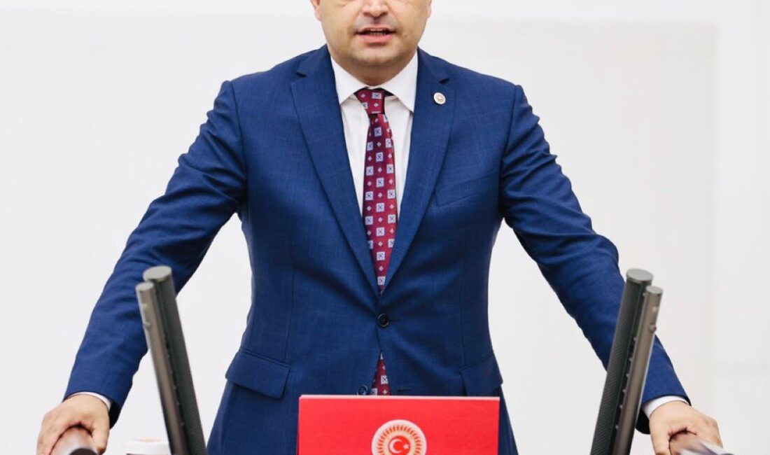 Cumhuriyet Halk Partisi (CHP) Ankara Milletvekili Deniz Demir, engelli bireylere