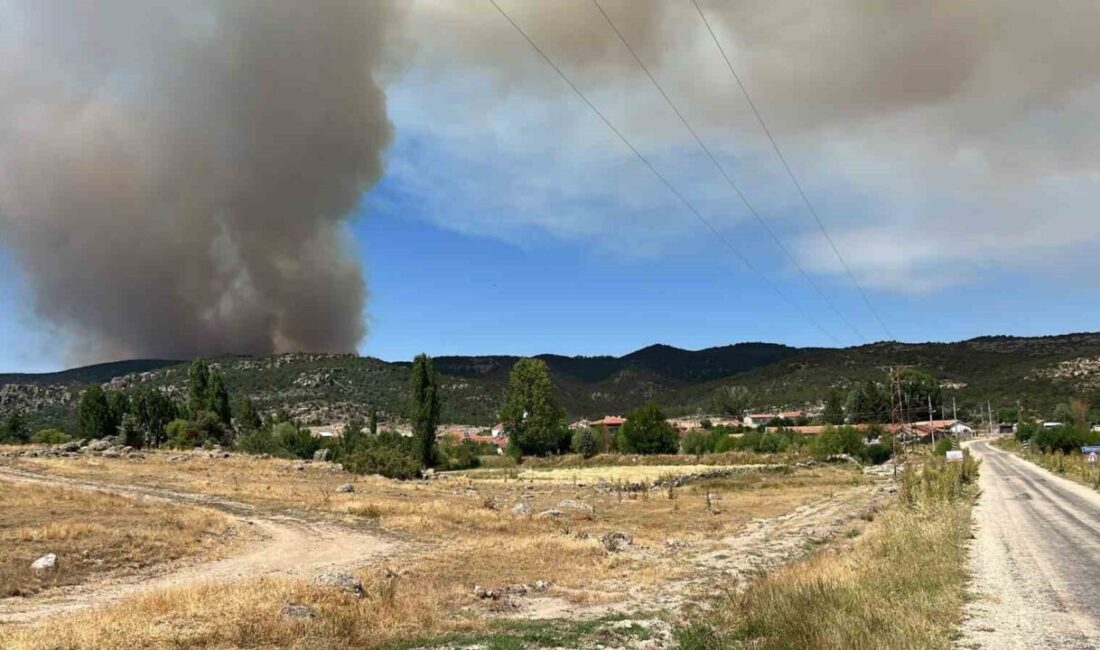 Eskişehir’in Seyitgazi ilçesinde başlayan ve etkisini sürdüren orman yangını, Afyonkarahisar