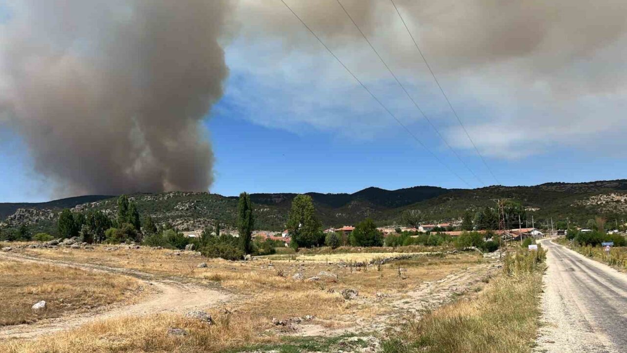 Eskişehir’in Seyitgazi ilçesinde başlayan ve etkisini sürdüren orman yangını, Afyonkarahisar