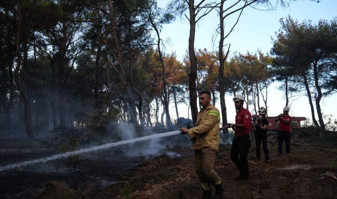 İzmir'de çıkan orman yangınlarında zorlu arazi koşulları ve ateş çemberleriyle
