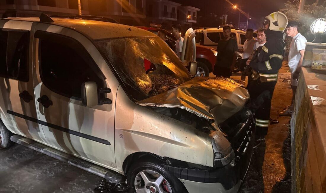 Muğla'nın Milas ilçesinde kamyonetin çarptığı yaya hayatını kaybetti.