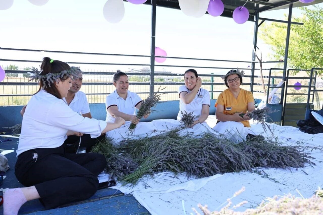 Afyonkarahisar’ın Sandıklı ilçesinde yer alan bir lavanta ve kekik üretim