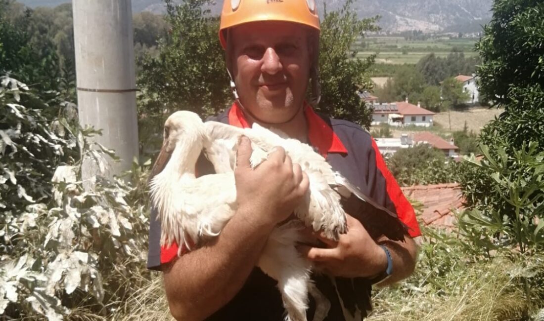Muğla’nın Ula ilçesine bağlı Akçapınar Mahallesi’nde bir leylek, yuvasında ayağına