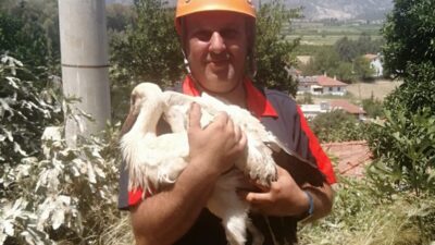 Muğla’nın Ula ilçesine bağlı Akçapınar Mahallesi’nde bir leylek, yuvasında ayağına