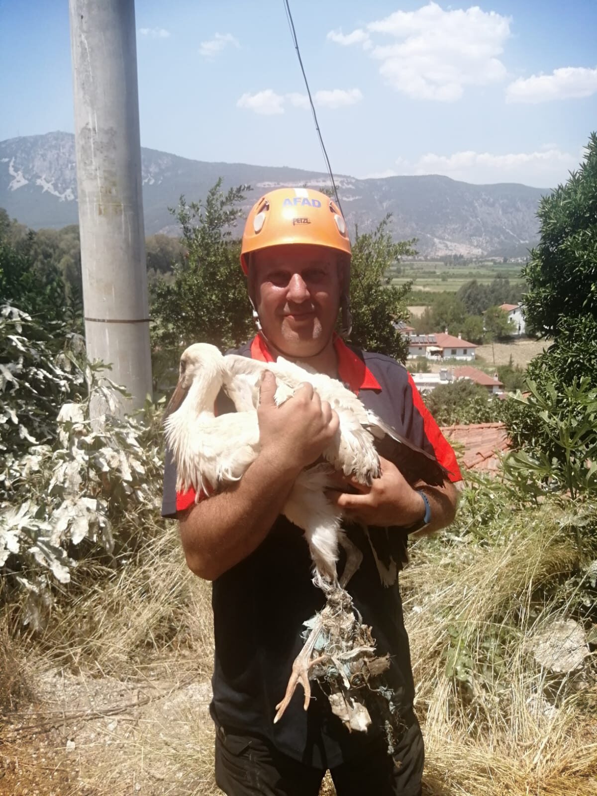 Muğla’nın Ula ilçesine bağlı Akçapınar Mahallesi’nde bir leylek, yuvasında ayağına