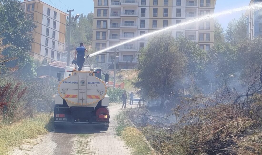 Muğla'nın Bodrum, Milas ve Kavaklıdere ilçelerinde çıkan yangınlar ekiplerin hızlı