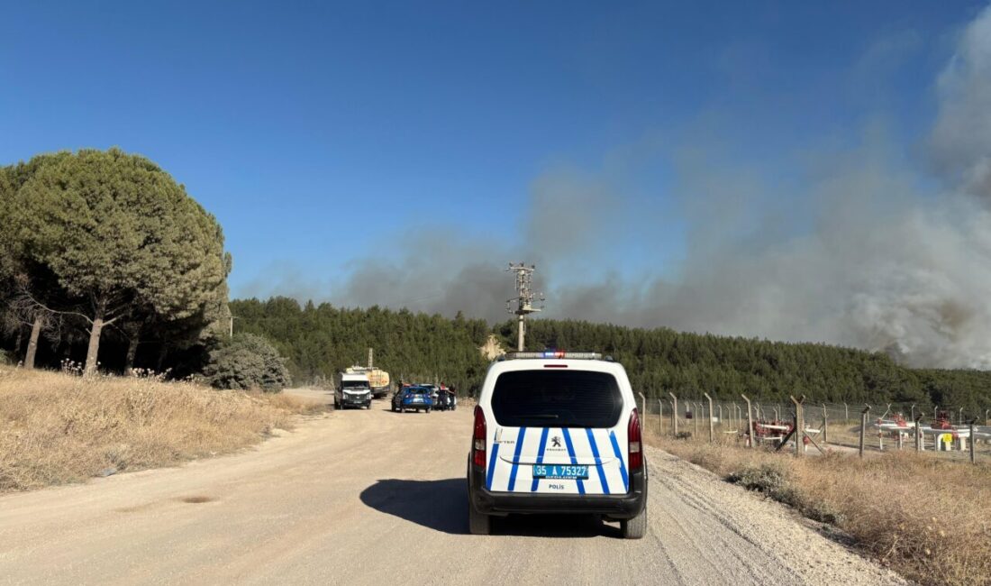 İzmir'in Buca ilçesinde ormanlık alanda çıkan yangına müdahale ediliyor.