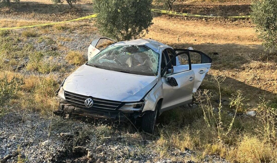 Manisa'nın Salihli ilçesinde kontrolden çıkan bir otomobilin zeytinlik alana devrilmesi