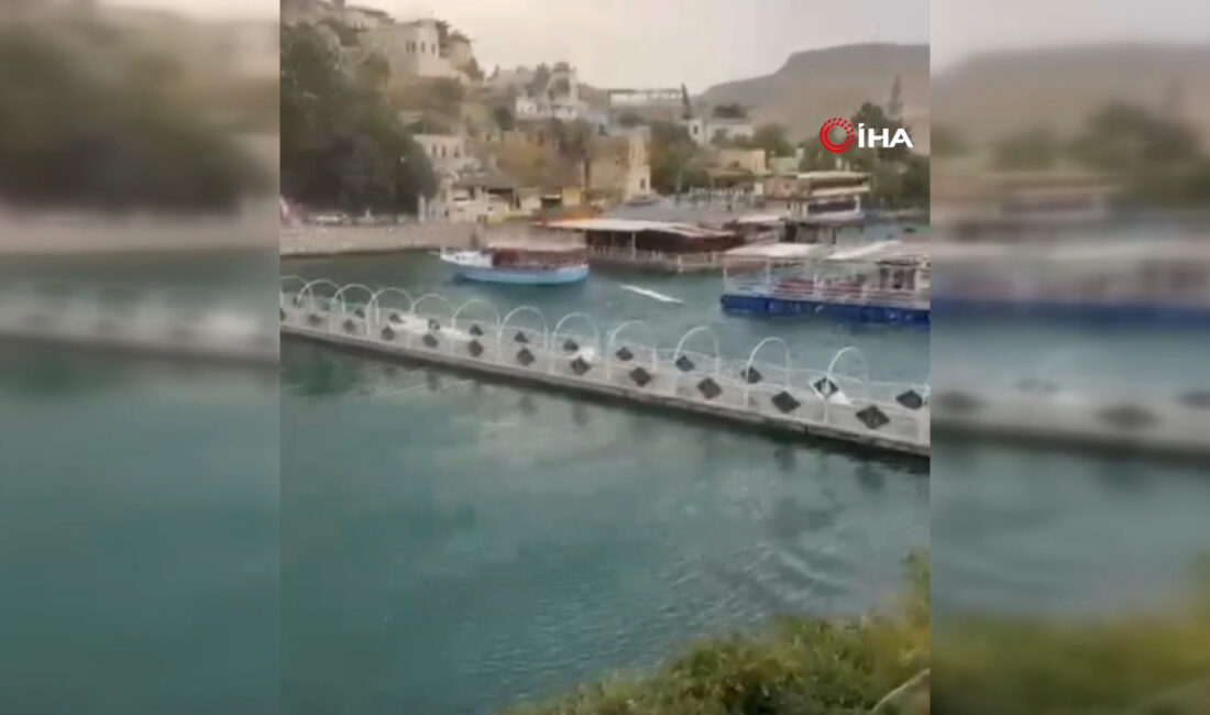 Şanlıurfa'nın Halfeti ilçesinde akşam saatlerinde etkili olan şiddetli fırtına, Fırat