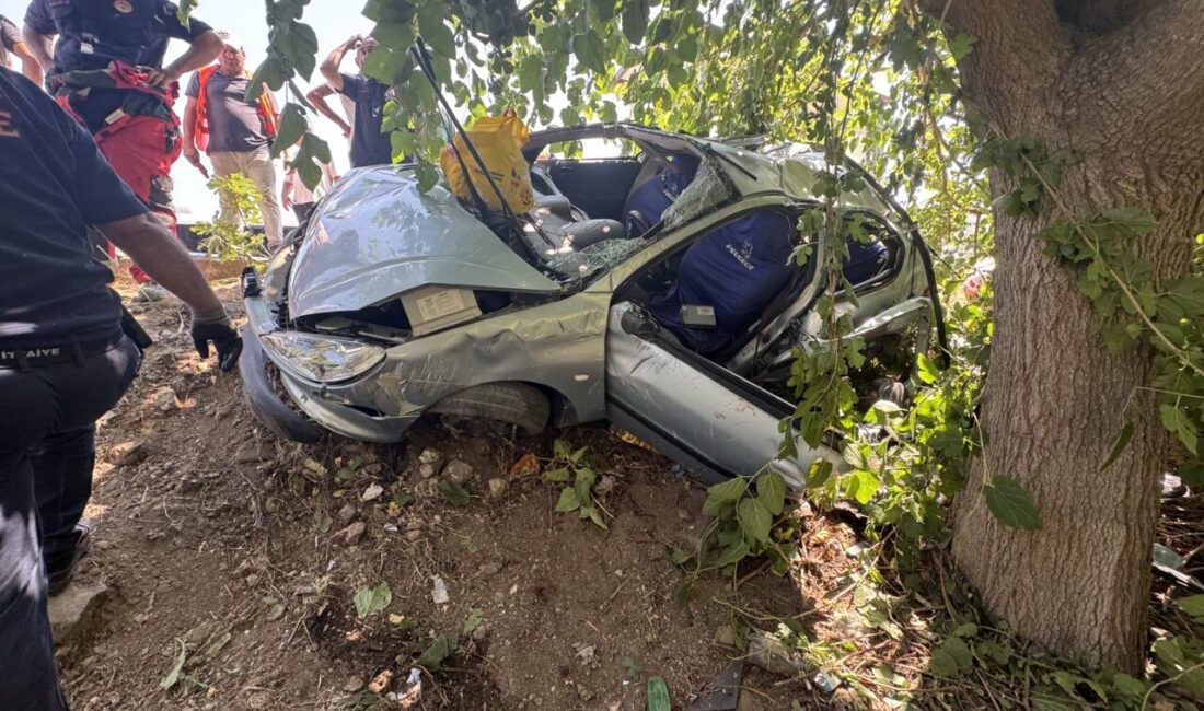 Muğla'nın Fethiye ilçesinde otomobilin şarampole devrilmesi sonucu 1'i çocuk 2