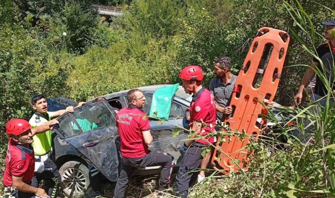 Bilecik’in Bozüyük ilçesinde şarampole devrilen otomobildeki 3 kişi yaralandı.