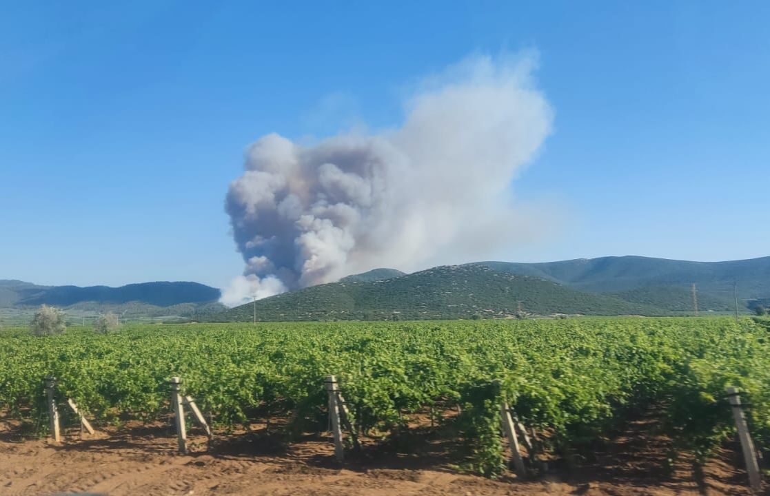 Manisa'nın Saruhanlı ilçesinde çıkan orman yangınına ekipler havadan ve karadan