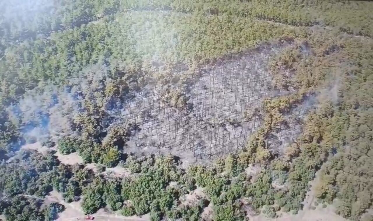 Eskişehir’in Seyitgazi ilçesindeki orman yangını kontrol altına alınırken, yangın bölgesi