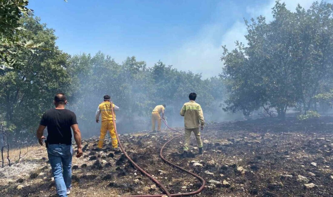 Eskişehir’in Seyitgazi ilçesinde çıkan orman yangınına ekiplerin müdahalesi devam ediyor.