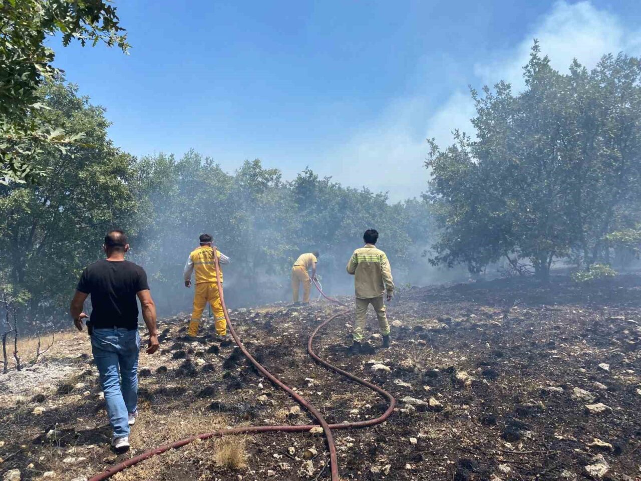 Eskişehir’in Seyitgazi ilçesinde çıkan orman yangınına ekiplerin müdahalesi devam ediyor.