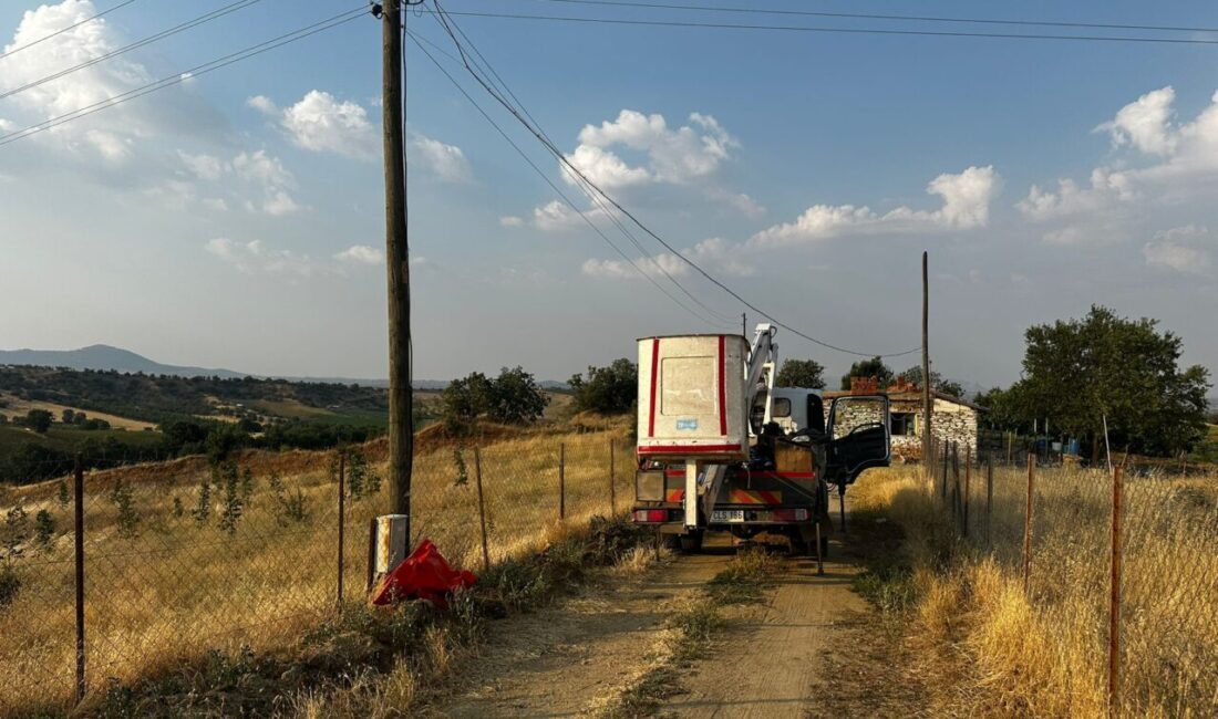 Uşak’ın Eşme ilçesinde, tamir için çıktığı aydınlatma direğinde elektrik akımına