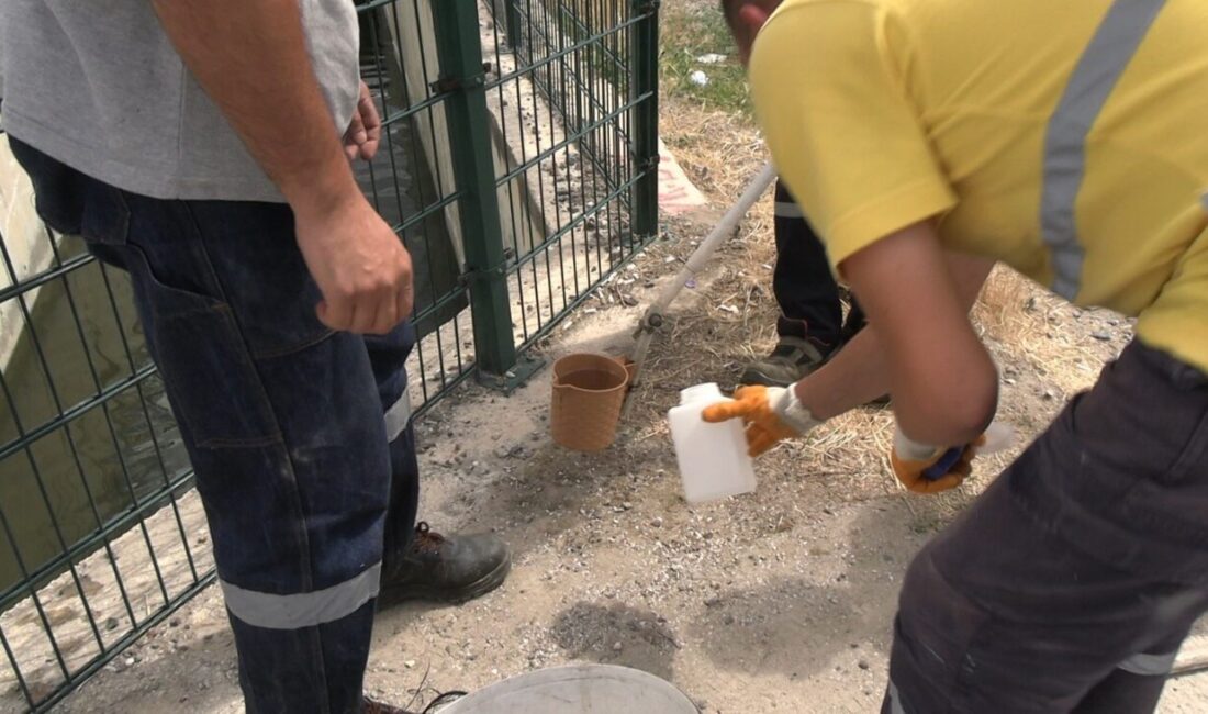 Kütahya’nın Tavşanlı ilçesinde yaşanan balık ölümleri bölge halkını ve yetkilileri