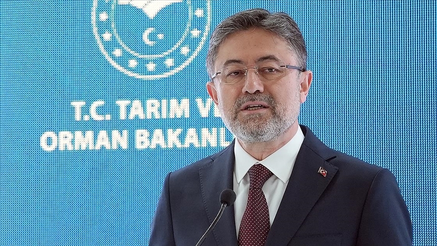 Eskişehir’in Seyitgazi ilçesine bağlı Büyükyayla ve Fethiye mahalleleri yakınında çıkan
