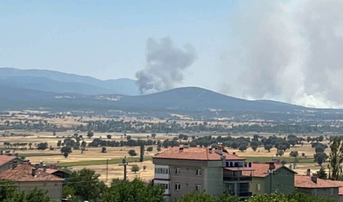 Uşak'ın Sivaslı ilçesinde meşelik alanda çıkan yangına havadan ve karadan