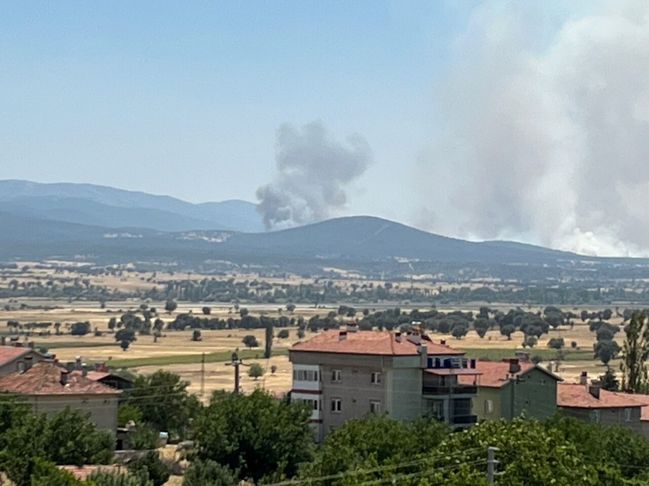 Uşak'ın Sivaslı ilçesinde meşelik alanda çıkan yangına havadan ve karadan