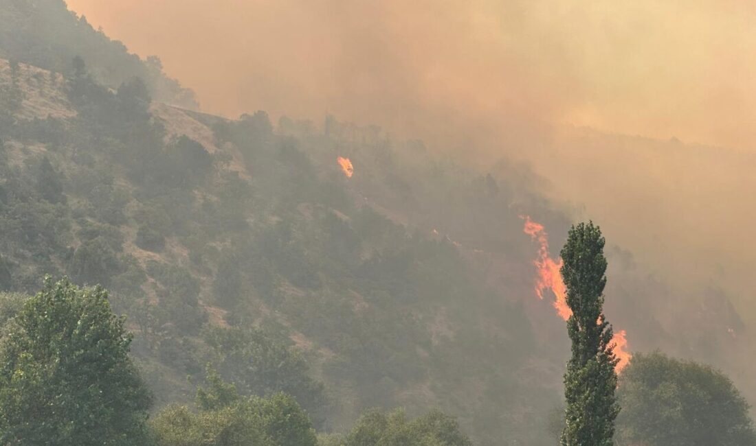 Uşak’ın Sivaslı ilçesine bağlı Ketenlik köyü yakınlarında çıkan yangın, meşelik