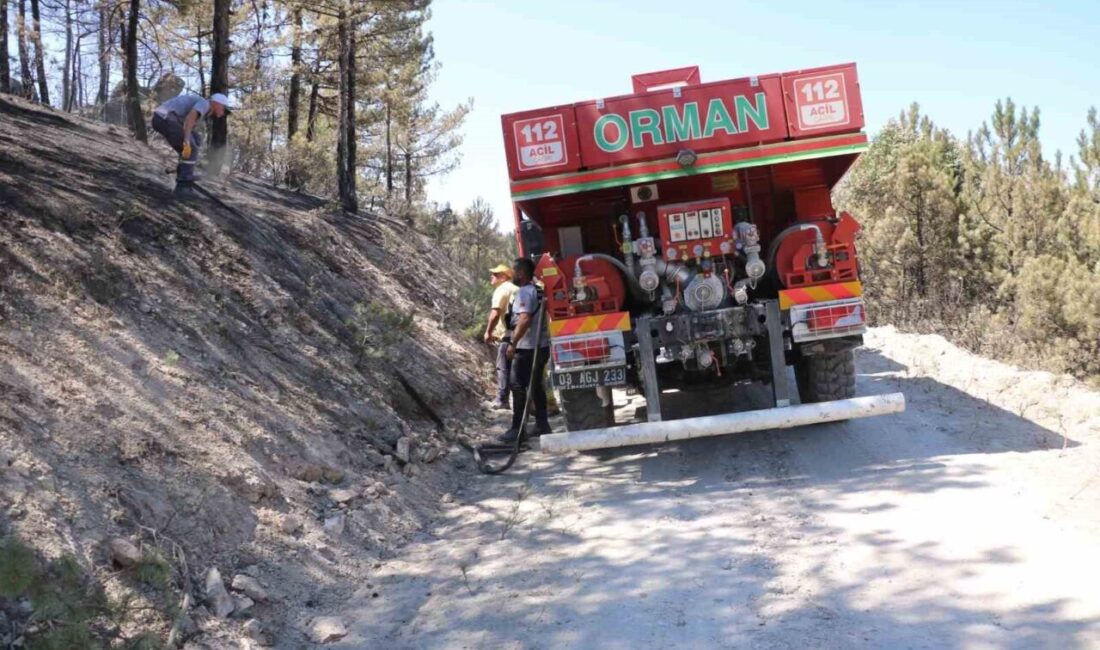 Afyonkarahisar’daki orman yangını 3 günün sonunda sabah saatlerinde kontrol altına
