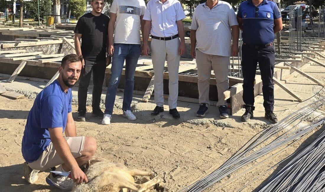 Sinanpaşa Belediye Başkanı Tolga Yıldırım’ın seçim döneminde söz verdiği projelerden