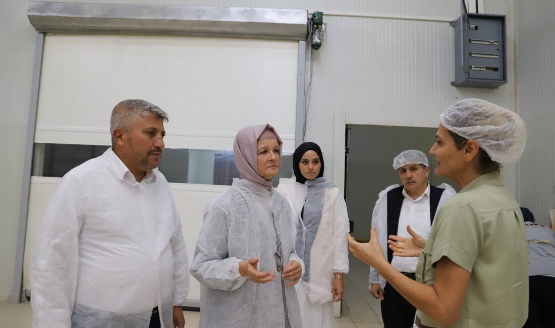 AK Parti Konya Milletvekili, Genel Merkez Kadın Kolları Başkan Yardımcısı