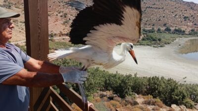 Ekosistemi Koruma ve Doğa Sevenler Derneği (EKODOSD) tarafından yapılan çalışmalar