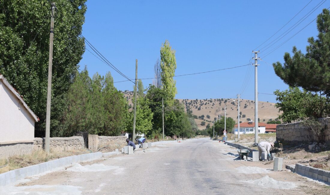 Afyonkarahisar’ın Bayat ilçesinde altyapı ve üstyapı hizmetlerine yönelik çalışmalar aralıksız