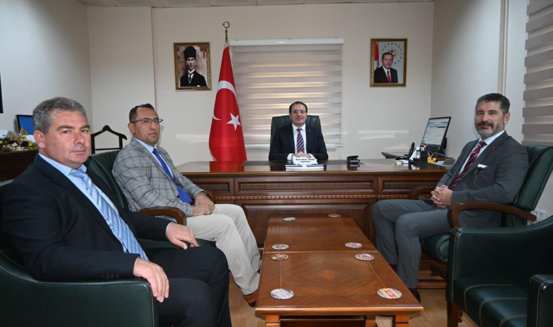 Çay İlçe Kaymakamı Hasan Hüsnü Türker, Milli Eğitim Bakanlığı, Avrupa