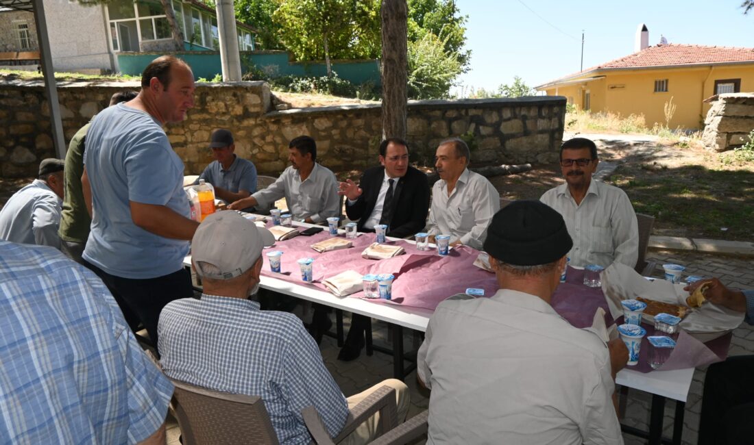 Çay İlçe Kaymakamı Hasan Hüsnü Türker, göreve başladığı günden bu