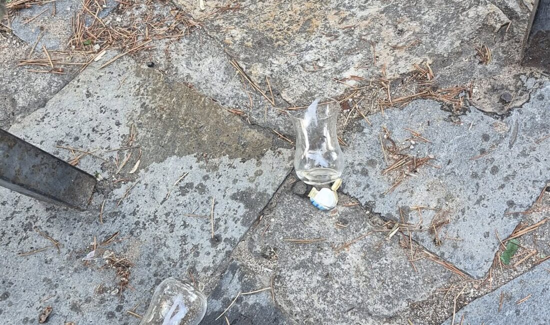 Afyonkarahisar'ın gözde dinlenme alanlarından biri olan Hıdırlık Mesire Alanı, son