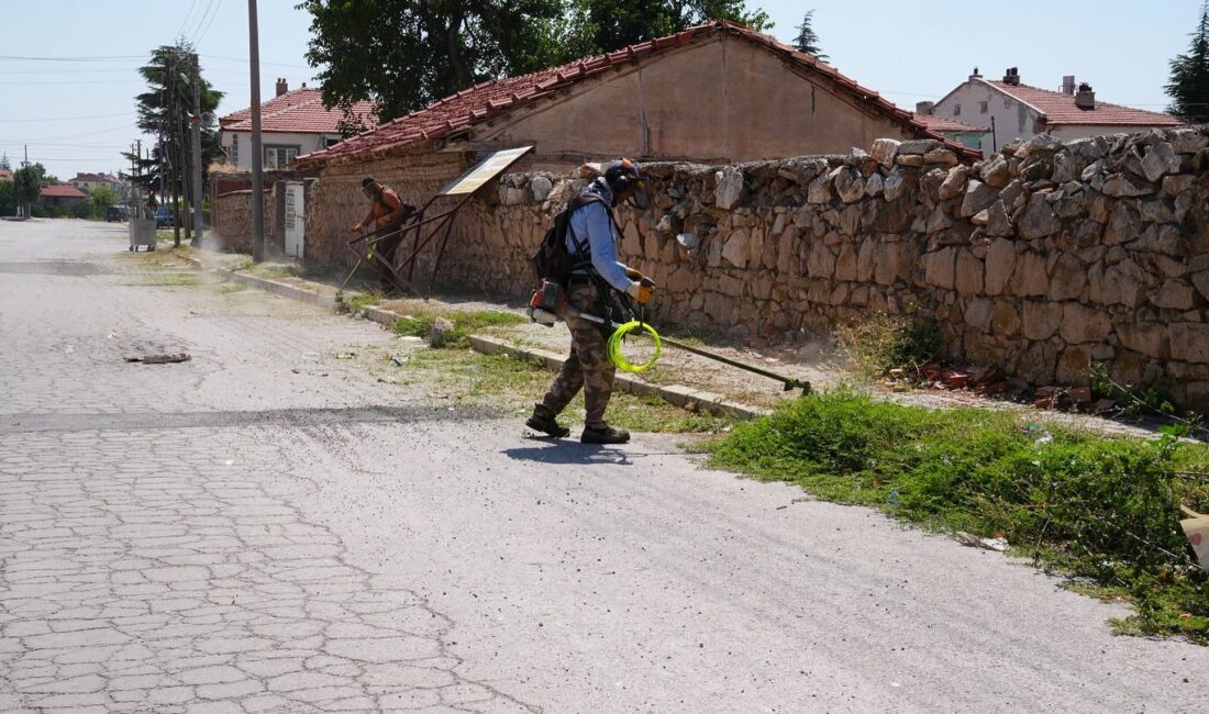 Bolvadin Belediyesi Fen İşler Müdürlüğü’ne bağlı park bahçe ekipleri, ilçenin