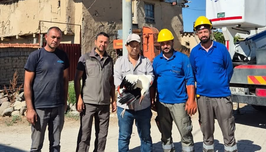 Afyonkarahisar’da elektrik direğinde leylek yaptığı yuvaya takılı kalınca devreye giren