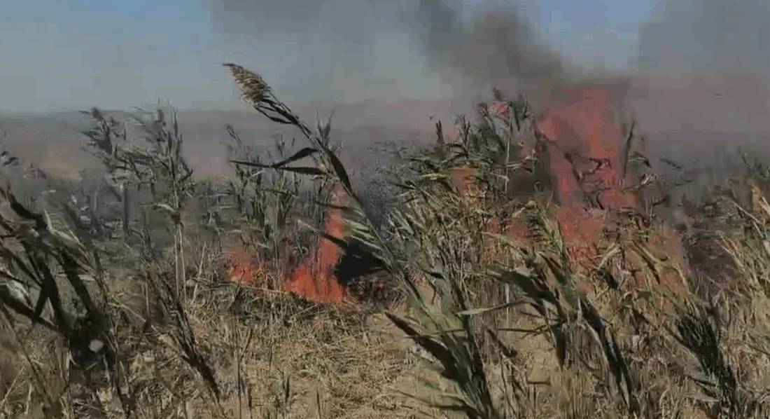 Afyonkarahisar’ın en önemli doğal miraslarından biri olan Eber Gölü, tam