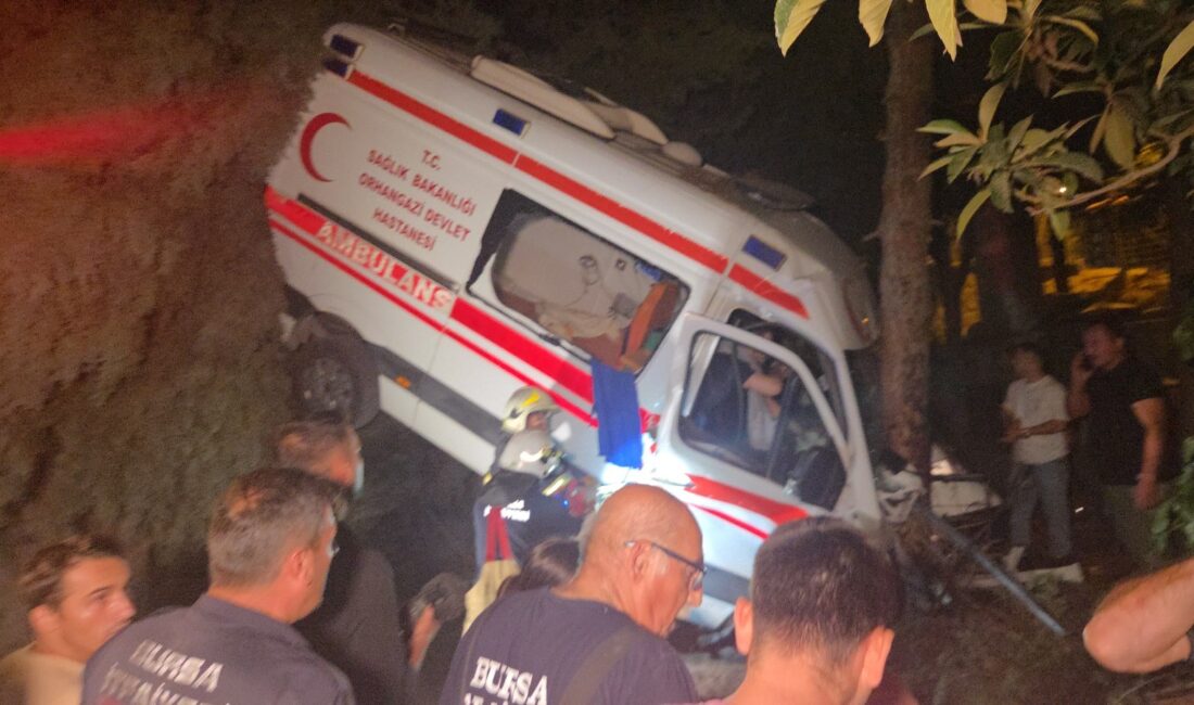 Bursa'nın Orhangazi ilçesinde, bir hasta nakil ambulansı ile kamyonetin çarpışması