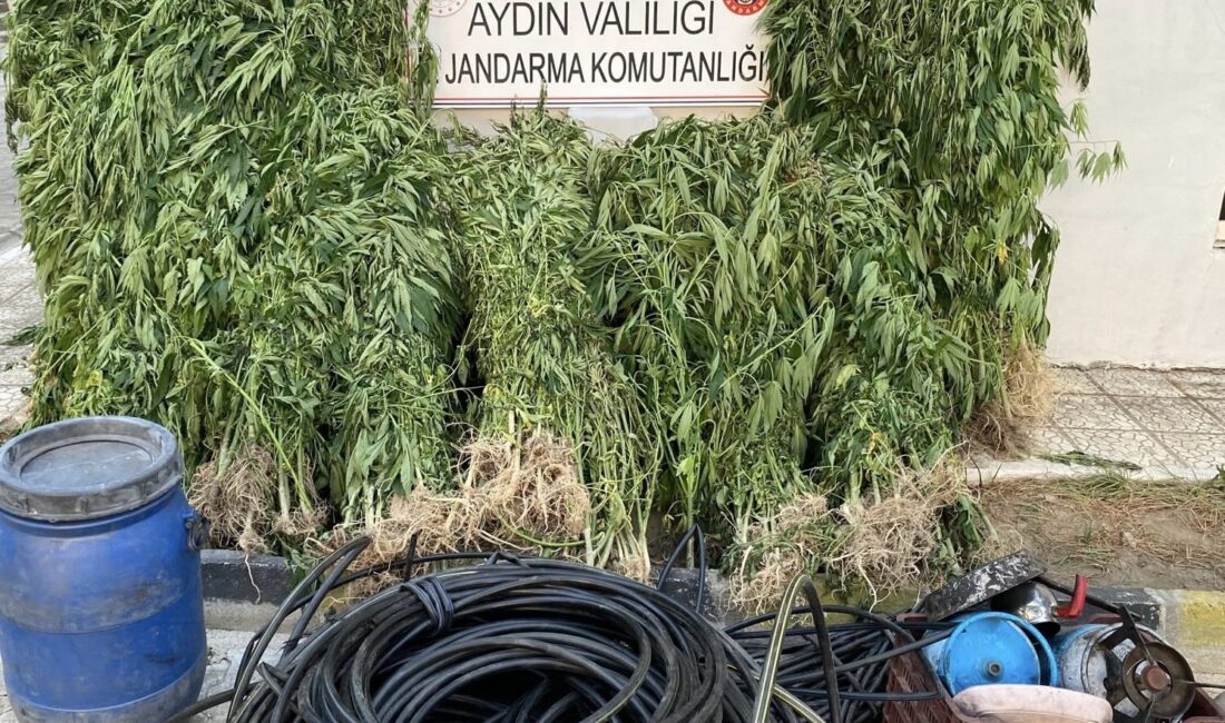 Aydın'da uyuşturucu madde kullanımı ve ticaretinin engellenmesine yönelik yürütülen üç