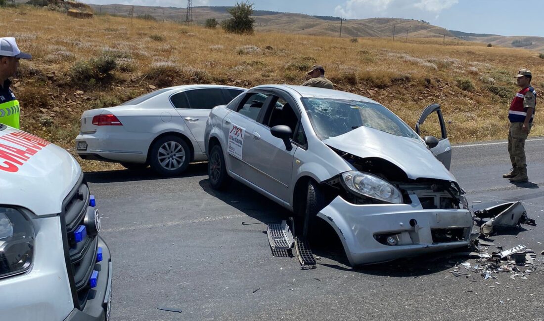 Muş-Kulp kara yolunda sabah saatlerinde meydana gelen trafik kazasında iki