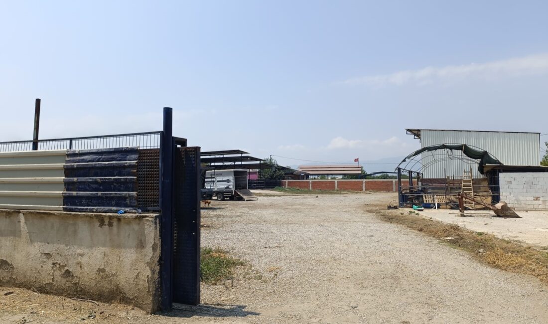 Manisa'nın Turgutlu ilçesinde bir çiftlik evinde çıkan yangın sonrasında bir
