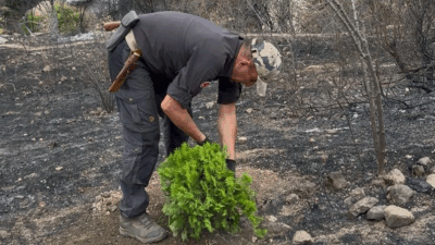 Bursa'da meydana gelen orman yangınlarının ardından önemli bir adım atıldı.