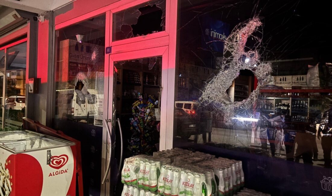 Erzincan'ın Hocabey Mahallesi'nde dün gece alkolün etkisi altındaki bir şahsın