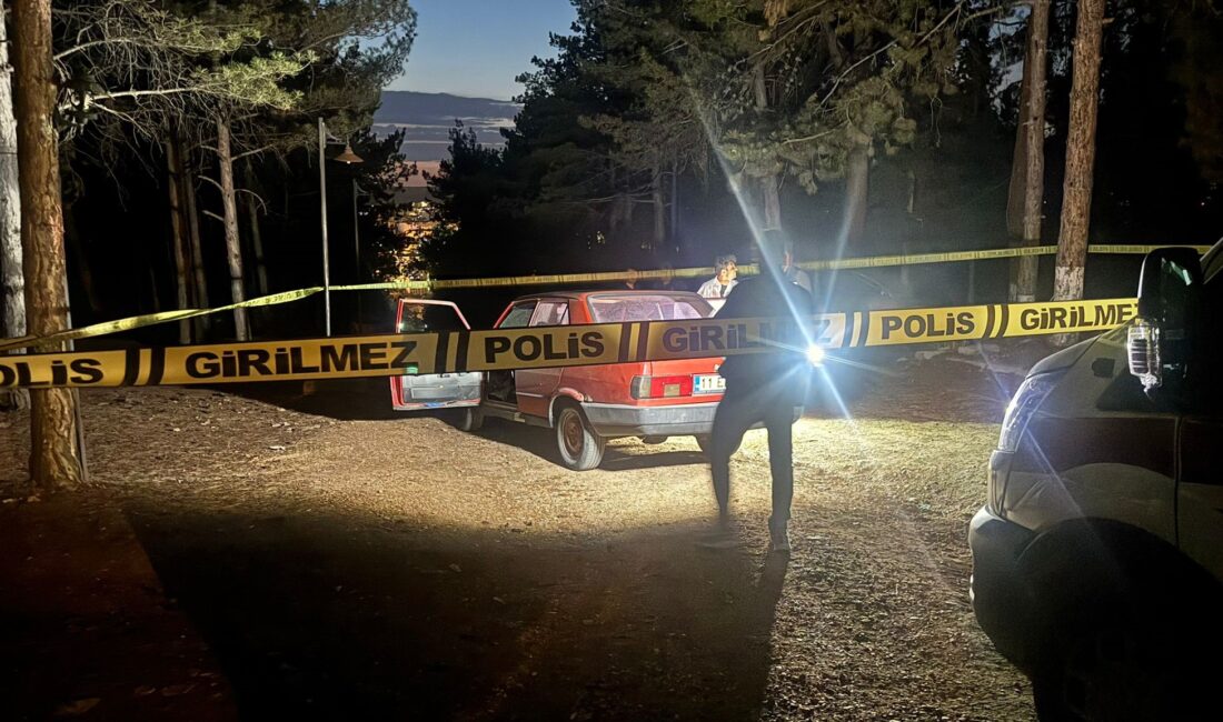 Bilecik’in Ertuğrulgazi Mahallesi'nde bulunan Atatürk Ormanı'nda alkol alan arkadaş grubu