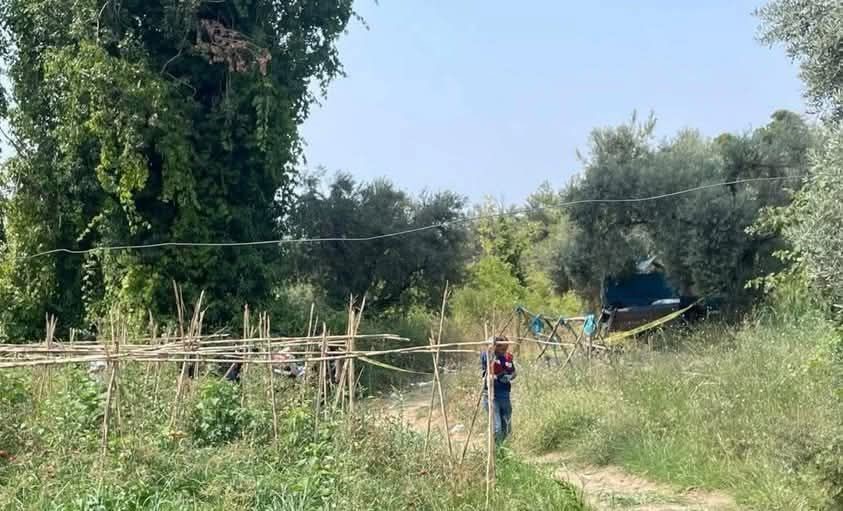 Aydın'ın Söke ilçesinde, arazisindeki ürünleri yaban domuzlarından korumak amacıyla evinden