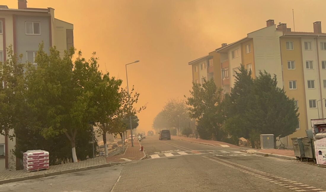 Çanakkale'de başlayan ve rüzgarın etkisiyle hızla yayılan orman yangını, Mehmet