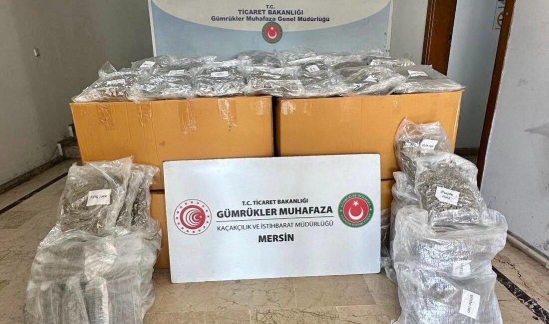 Mersin Limanı'nda gerçekleştirilen başarılı bir operasyonla, bir konteynerde yapılan detaylı