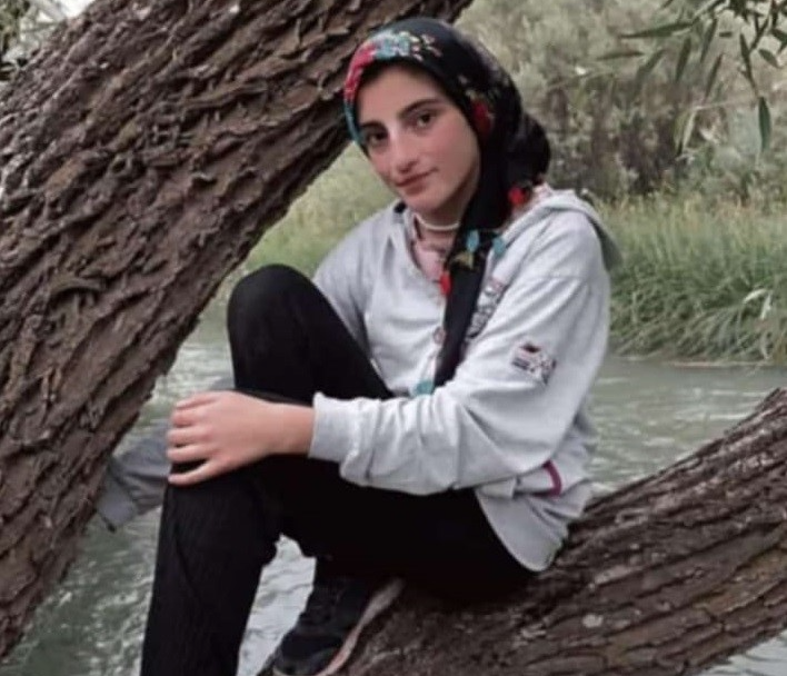 Erzurum'un Tekman ilçesinde Aras Nehri kıyısında ailesiyle piknik yaparken suya